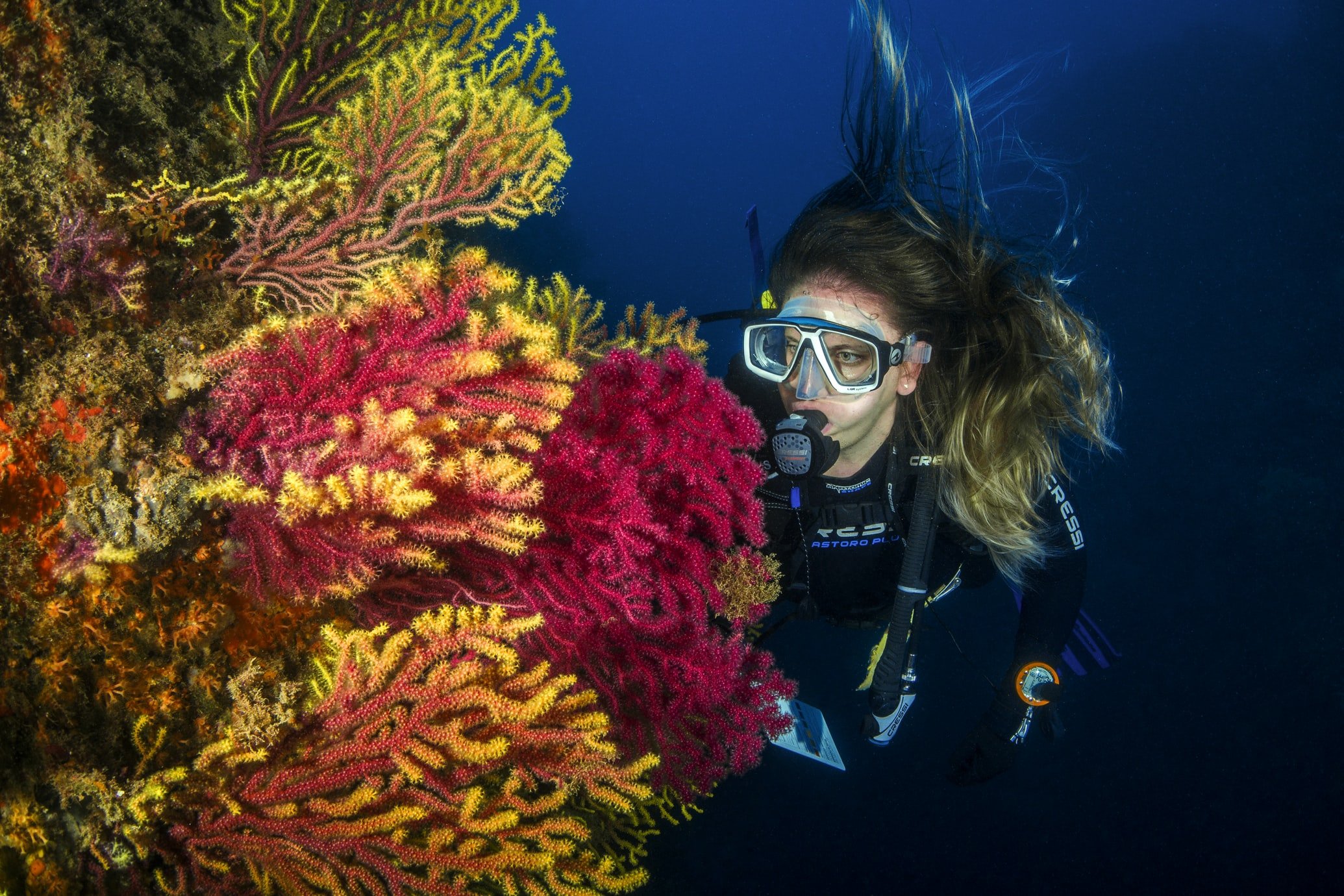 SCUBA diver looking at coral