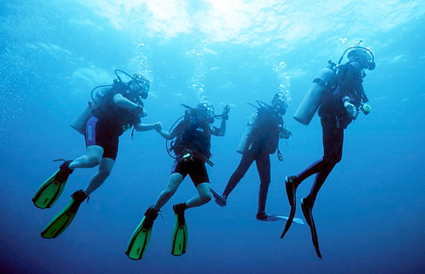 recreational scuba diver class kiwidivers phuket